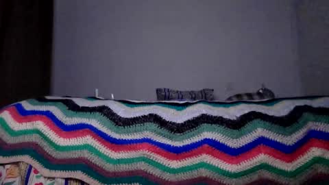 Snapshot of 0205charger chatting on 27, 10, 2025 0205charger online show from 27, 10, 2025