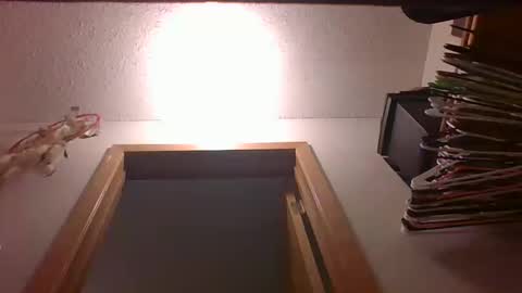 Snapshot of 123loonymail chatting on 12, 10, 2025 123loonymail online show from 12, 10, 2025