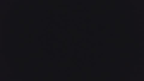 1900pley online show from 16, 4, 2026