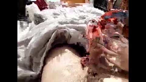 19spieler99 online show from 8, 2, 2025