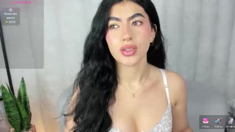  . online show from 27, 11, 2025