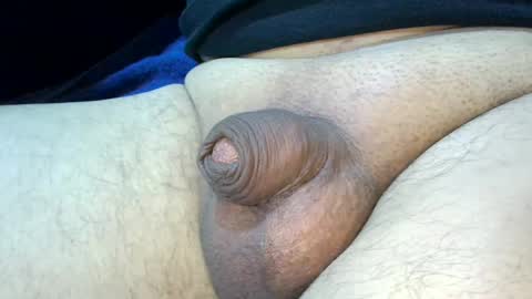 MICA online show from 7, 12, 2024