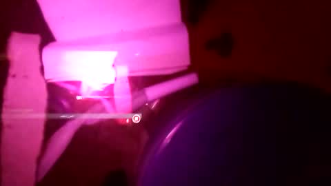 1st___ online show from 25, 11, 2025