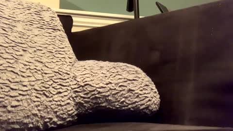 25923 online show from 14, 1, 2025