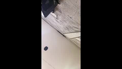 3X NAXAA online show from 3, 3, 2026