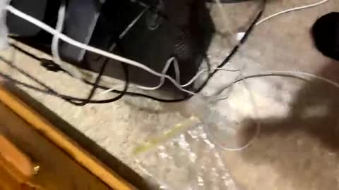 420bbwlover online show from 4, 1, 2025