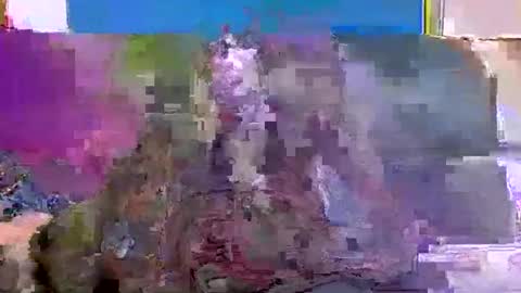 Snapshot of 4nuf chatting on 15, 1, 2025 4nuf online show from 15, 1, 2025