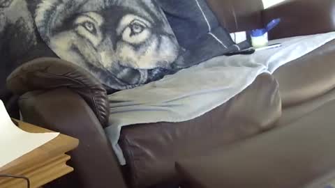 66bear online show from 9, 3, 2026