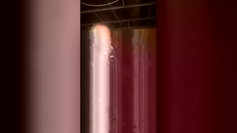Snapshot of 69bidam chatting on 2, 5, 2026 69bidam online show from 2, 5, 2026
