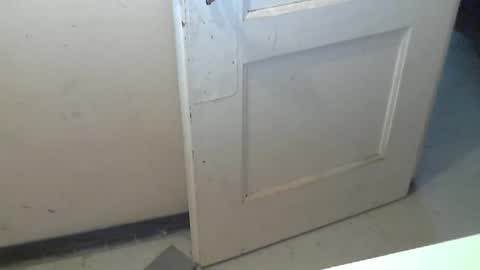 69pifpaf online show from 19, 12, 2025