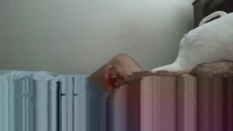 Snapshot of 6boss498491 chatting on 23, 2, 2026 6boss498491 online show from 23, 2, 2026