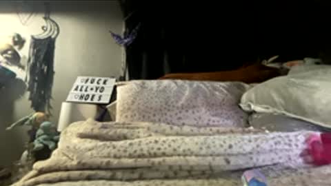 That girl online show from 6, 3, 2026