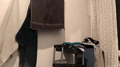 88piterr88 online show from 25, 2, 2026