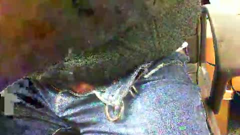 Snapshot of 99zeus9 chatting on 27, 11, 2025 99zeus9 online show from 27, 11, 2025