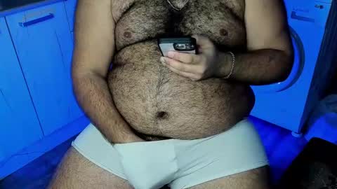 Snapshot of _alan_bear_ chatting on 12, 12, 2024 Alan online show from 12, 12, 2024