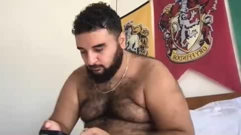 Snapshot of _alan_bear_ chatting on 14, 6, 2026 Alan online show from 14, 6, 2026