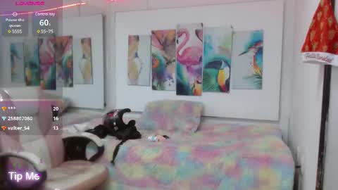 Snapshot of _alegriamartinez_ chatting on 19, 2, 2025 _alegriamartinez_ online show from 19, 2, 2025