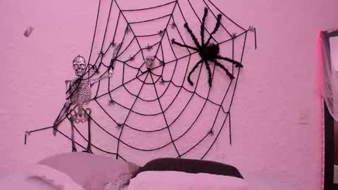 Alexander online show from 22, 10, 2025