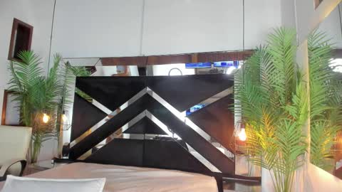 Candy online show from 3, 12, 2025