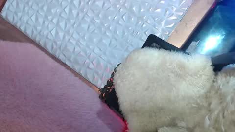 Snapshot of _caroline69 chatting on 19, 1, 2025 Caroline online show from 19, 1, 2025