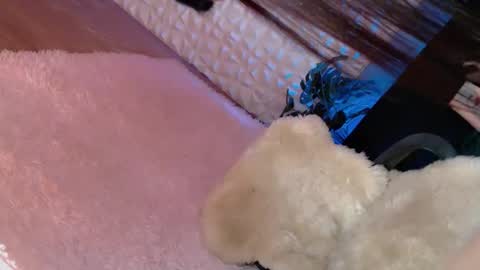 Snapshot of _caroline69 chatting on 8, 3, 2025 Caroline online show from 8, 3, 2025