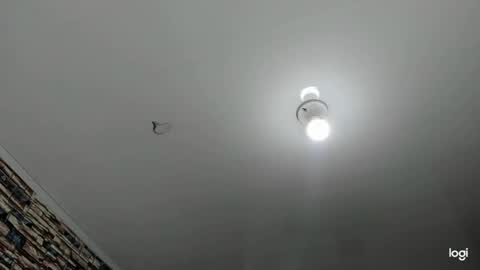 Snapshot of _casandra11 chatting on 23, 1, 2025 _casandra11 online show from 23, 1, 2025