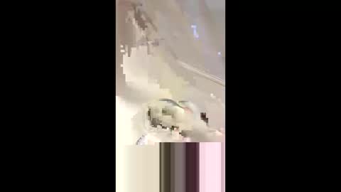 Snapshot of _da_d1ck_ chatting on 2, 3, 2025 Da d1ck online show from 2, 3, 2025