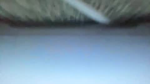 _direwolf_ online show from 27, 2, 2026