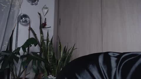 Jenn  online show from 27, 3, 2026