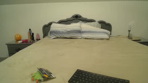  ittybitty online show from 31, 10, 2025