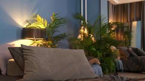 Snapshot of _keti_ chatting on 1, 11, 2025 FANSLY --- anal in private 700 tokens online show from 1, 11, 2025