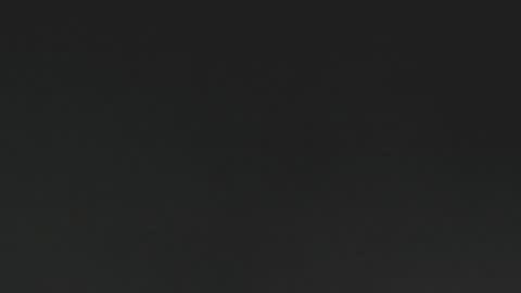 lexie online show from 15, 12, 2024