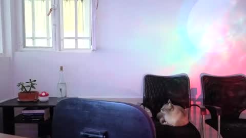 Snapshot of _lunablondie_ chatting on 5, 8, 2026 _lunablondie_ online show from 5, 8, 2026