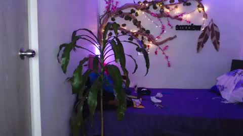Snapshot of _marcela_wi chatting on 17, 7, 2026 Marce online show from 17, 7, 2026