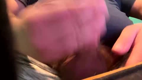 _peterson_ online show from 15, 1, 2025