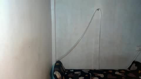 _shanexx online show from 15, 12, 2025