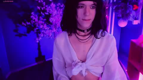 Shin online show from 5, 6, 2026