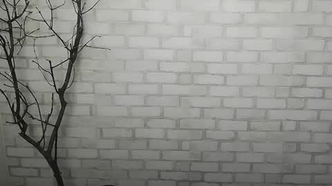 Snapshot of _snow_queen__ chatting on 14, 12, 2024 Rachel online show from 14, 12, 2024