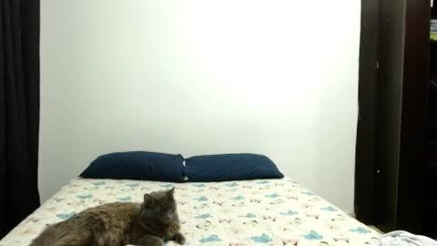 Snapshot of _sofiaparker_ chatting on 3, 10, 2025 Sofia Parker online show from 3, 10, 2025