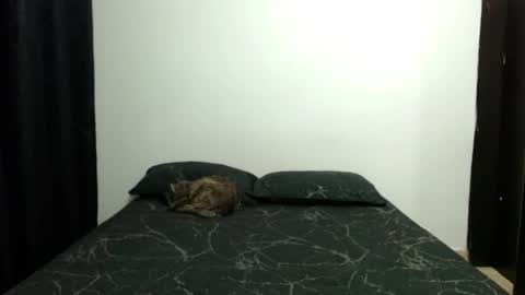 Snapshot of _sofiaparker_ chatting on 10, 11, 2025 Sofia Parker online show from 10, 11, 2025