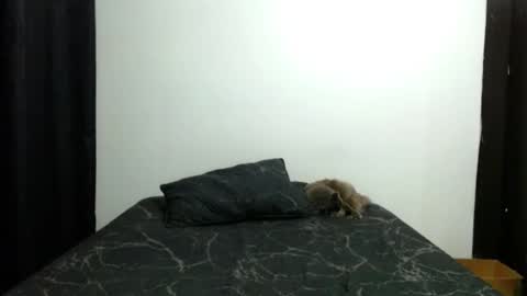 Snapshot of _sofiaparker_ chatting on 13, 11, 2025 Sofia Parker online show from 13, 11, 2025