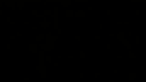 Melisa online show from 20, 2, 2025