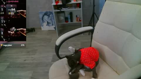 Snapshot of _sweet_ruby_ chatting on 26, 2, 2025 Milana welcome to my world online show from 26, 2, 2025