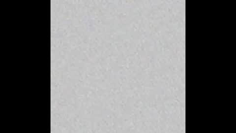 _tammarra_ online show from 10, 1, 2026