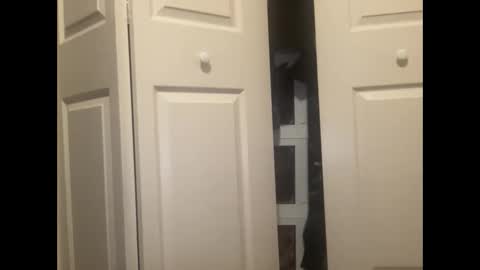 a787801 online show from 12, 3, 2025