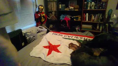 Snapshot of a_bored_dragon chatting on 11, 3, 2025 A Bored Dragon online show from 11, 3, 2025