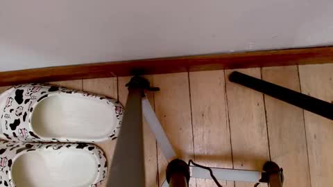 Abby online show from 21, 9, 2025