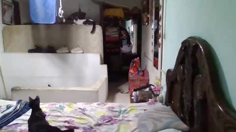 Abby online show from 26, 1, 2025