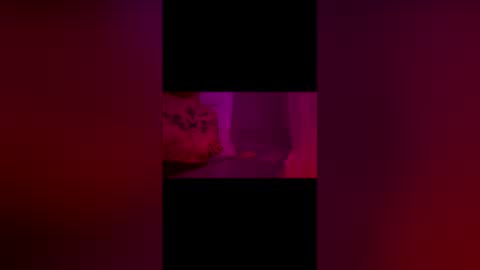 Snapshot of abigrace chatting on 10, 4, 2026 abigrace online show from 10, 4, 2026