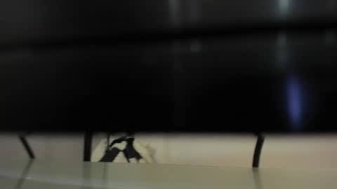 Snapshot of abril_777 chatting on 22, 2, 2026 Abril 777 online show from 22, 2, 2026